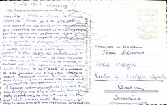 MODERN CARD Herd Of Sheep with its shepherd