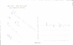 MODERN CARD Pau Beaumont Park Swans Of the Basin