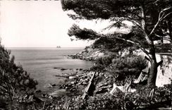 VINTAGE POSTCARD Dimension of Toulon Azure Surroundings Two brothers