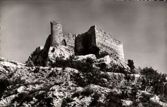 VINTAGE POSTCARD Fountain Of Vaucluse the Castle De Petrarque