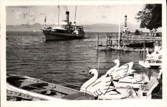 VINTAGE POSTCARD Evian Les Bains Passage Of the Swiss Boat Swans