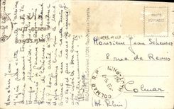 Colecciones hermosas de la POSTAL de la VENDIMIA de las vacas de D Oche del diente