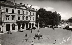 VINTAGE POSTCARD Thonon Les Bains the Town hall and vei' the fountain