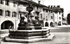 VINTAGE POSTCARD Thones the Fountain And Arcades