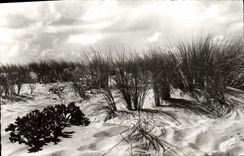 CPM Soir D'Orage Sur La Dune