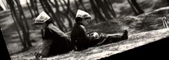 CPM En Vendee Dans Les Bois De Pins Fillettes Maraichines Folklore enfants