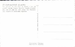 VINTAGE POSTCARD St Wolf De Naud Seen Partial Of the Right-sided of the gate