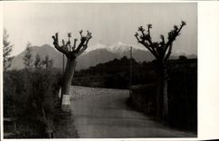 MODERN CARD the Eastern Pyrenees