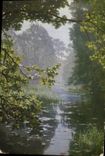 VINTAGE POSTCARD Villeneuve the pond the metin in fogs