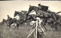 POSTAL MODERNA la escuela de Militaria de la impulsión de Saumur de crió los caballos
