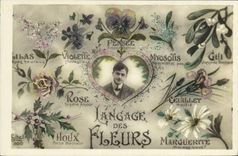 CPA Langage Des Fleurs