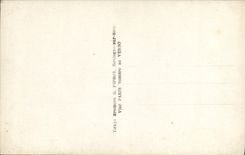 VINTAGE POSTCARD Fantasy Woman the hairy Miltiaria Parrot