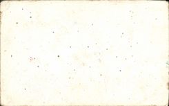 CPA Fantaisie Fleurs Colombe 