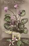 CPA Bonheur et Properite Fleurs Elephant