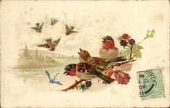 CPA Fantaisie Oiseaux
