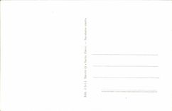 VINTAGE POSTCARD Ajaccio Rules of Napoleon 1st and his 4 brothers