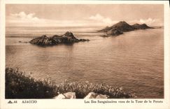 VINTAGE POSTCARD Ajaccio Sanguinary Islands Seen of the Tower of Perata
