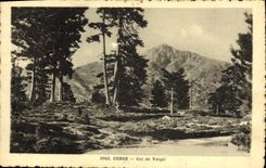 VINTAGE POSTCARD Corsica Collar of Vergio