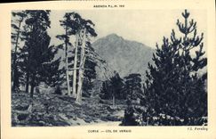 VINTAGE POSTCARD Corsica Collar of Corsica Vergio Corsica