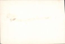 VINTAGE POSTCARD Trocadero Indo China Paris