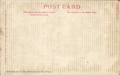 VINTAGE POSTCARD Camille Chevillard