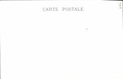 VINTAGE POSTCARD Barbs