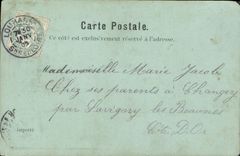 CPA Souvenir de Nice Palmier