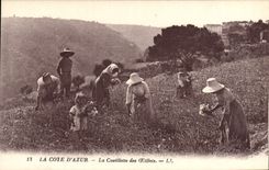 VINTAGE POSTCARD the Dimension of Azure the Gathering of the Eyelets