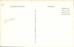 VINTAGE POSTCARD the Dimension of Azure the Gathering of Olives