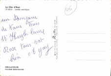 CPM La Cote d'Azur Jardin exotique Cactus 