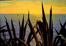 CPM Cote D'Azur Coucher de soleil