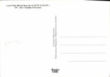 POSTAL MODERNA dimensión de los campos azules de aceituna-árboles