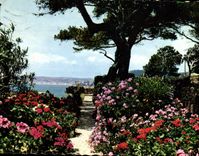 POSTAL MODERNA jardines florecidos