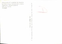 POSTAL MODERNA dimensión de las flores azules