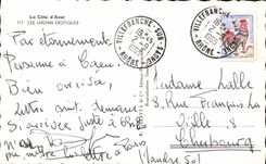 POSTAL MODERNA la dimensión del cacto exótico azul de los jardines