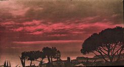 CPA Flore Artistique Au Bord de la Mer