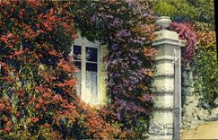 POSTAL de la VENDIMIA la dimensión del azul incorporada del chalet florecido