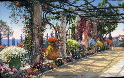 CPA La Cote D'Azur Pergola fleurie