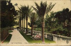 VINTAGE POSTCARD Antibes Eilenroc Villa Gone of the Palm trees