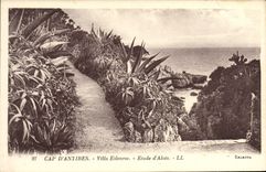 VINTAGE POSTCARD Antibes Eilenroc Villa Details of Aloe
