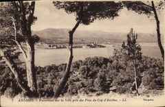 VINTAGE POSTCARD Antibes Panorama On the City Taken of the Pines of the Cape