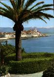 CPA Antibes Cote D'Azur French Riviera