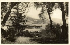 MODERN CARD Beaulieu Seen Between the Olive-trees