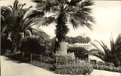 CPM Beaulieu Sur Mer Le Jardin Public