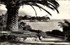 MODERN CARD Beaulieu On Sea the Point Of the Ants