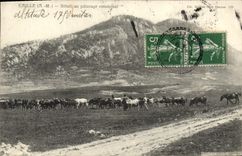 Ganado de Ruail de la POSTAL de la VENDIMIA con las vacas comunales del pasto