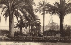 VINTAGE POSTCARD Cannes Seen On Suquet and the Islands