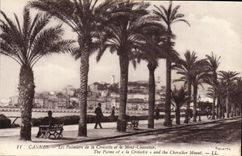 VINTAGE POSTCARD Cannes Palm trees of Croisetle and the Mount Knight