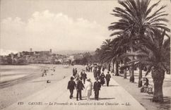 CPA Cannes La Promenade de la Croisette et le Mont Chevalier