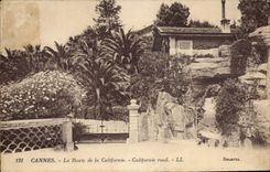 CPA Cannes La Route de la Californie
